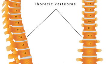 The Thoracic Spine image